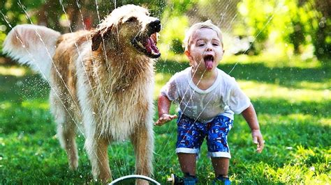 Funny Dogs 🐶 Dogs Playing With Water (FULL) [Funny Pets] - YouTube