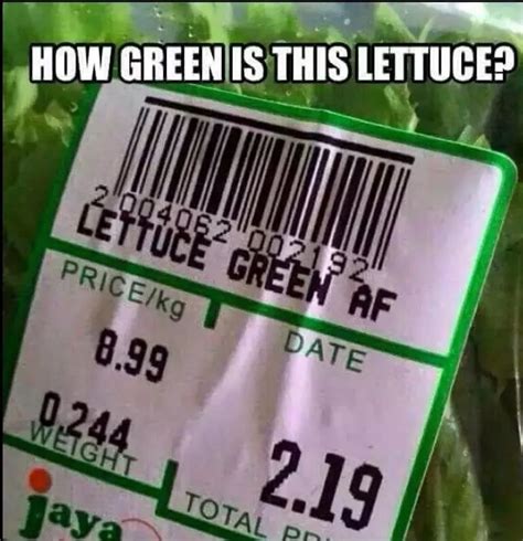 The best Lettuce memes :) Memedroid