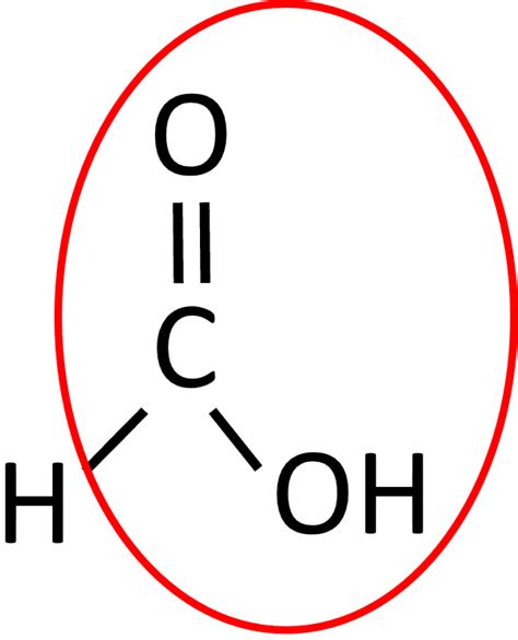 Draw the structural formula of each of the following : | KnowledgeBoat