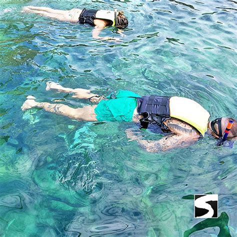 Pig Island Snorkeling Koh Mudsum & Koh Tan Speed Boat Economy Tour – kohsamui.tours