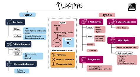 Lactic Acidosis Classification