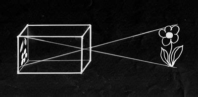 How a pinhole camera works – AlternativePhotography.com