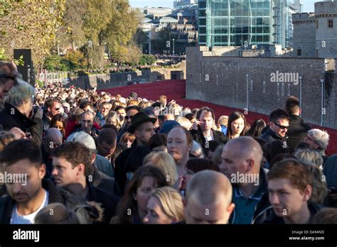 Remembrance Sunday poppy display at the Tower of London. Crowds gather ...