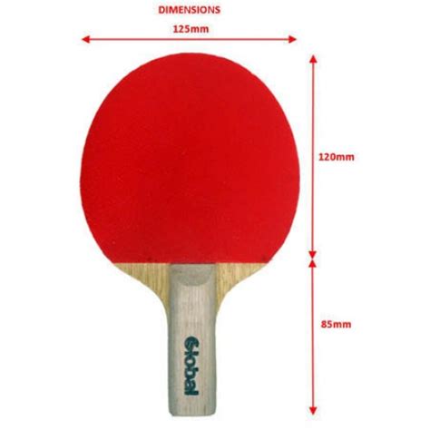 Table Tennis Racket Size | Bruin Blog