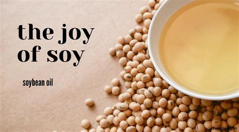 Soy Series, Part 3: Soybean Oil – Food Insight