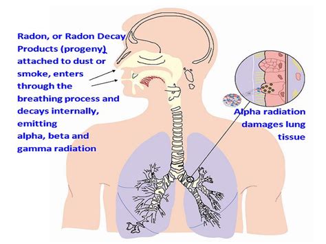 Radon (Rn): Properties & Uses – StudiousGuy