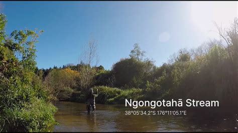 Ngongotaha Stream - YouTube