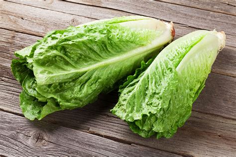 Romaine Lettuce | Rogue Produce