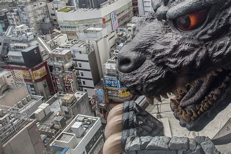 Tokyo's Godzilla hotel offers rooms with a view – of a fire-breathing monster lizard [Photos ...