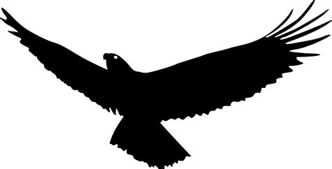 Bald Eagle Bird Flight - Eagle wings png download - 2221*1135 - Free Transparent Bald Eagle png ...