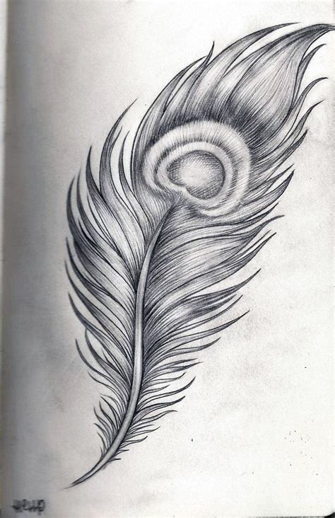 Image result for charcoal flowers | Feather sketch, Feather drawing ...