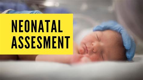 Neonatal Assessment - YouTube