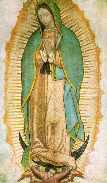 Tilma and the Sacred Image - Day of Our Lady of Guadalupe