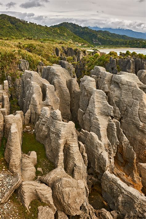 Paparoa National Park Page