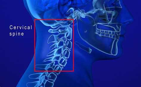 C3, C4, & C5 Vertebrae Spinal Cord Injury | SpinalCord.com