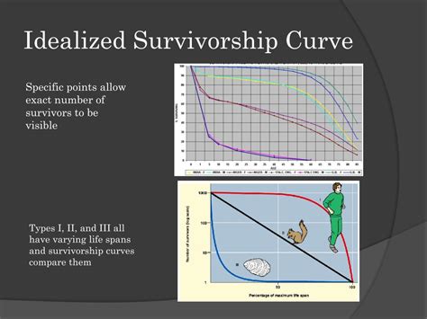 PPT - Survivorship Curves PowerPoint Presentation, free download - ID:2206053