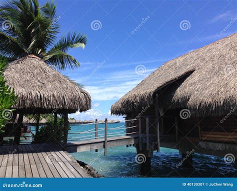 Resort in Papeete stock image. Image of palm, holiday - 40130307