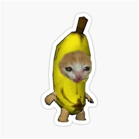 "banana cat :)" Sticker by SebasColD | Redbubble