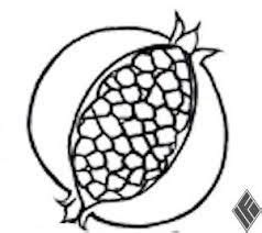 Image result for pomegranate clipart black and white | Tezhip, Desenler, Çizimler