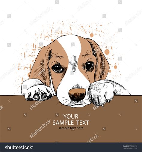 Portrait Sad Puppy Beagle Vector Illustration Stock Vector (Royalty Free) 350032298 | Shutterstock