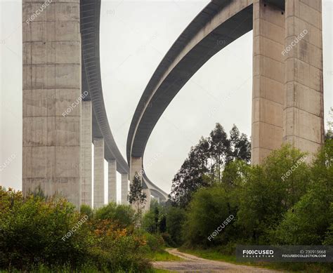 Beautiful white viaduct with trees below — vegetation, summer - Stock Photo | #230915668