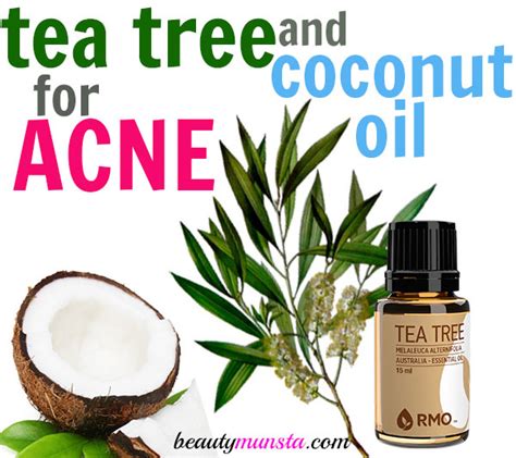 Tea Tree Oil and Coconut Oil for Acne - How to Use with 3 Recipes - beautymunsta - free natural ...