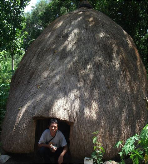 Rumah Adat Pulau Timor (Lopo) di TTS Bukan Sekadar Gubuk - Kompasiana.com