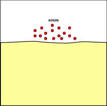 Endocytosis Animation