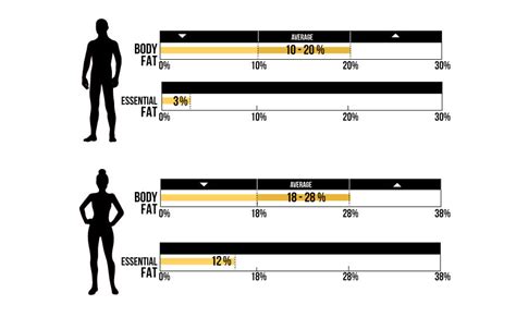 A Guide To Achieving a Healthy Body Fat Percentage – InBody BWA for Medical Professionals