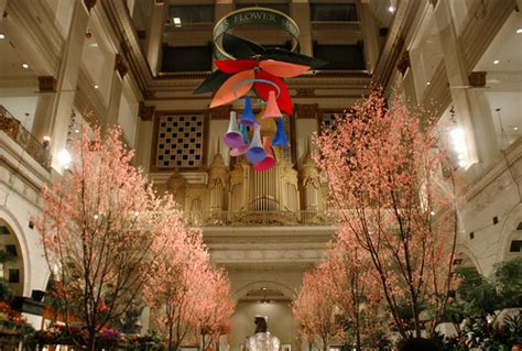 _MG_7519 | Macy's Flower Show, Center City Philadelphia | David | Flickr