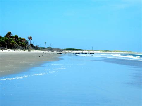 Dewees Island, South Carolina | Beautiful places, Favorite places, Sea island