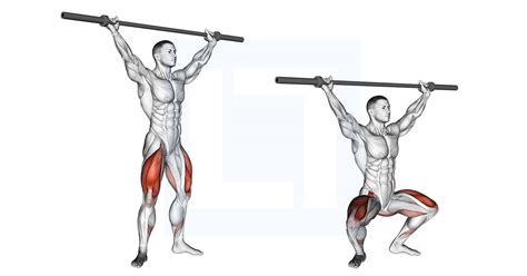 Barbell Overhead Squat - Guide, Benefits, and Form