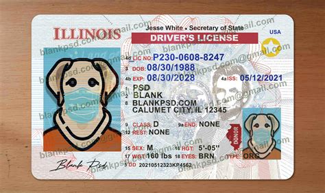 Free Editable Blank Illinois Drivers License Template