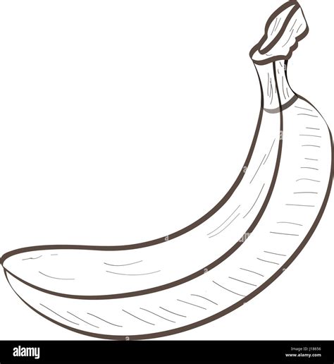 Isolated banana outline Stock Vector Image & Art - Alamy