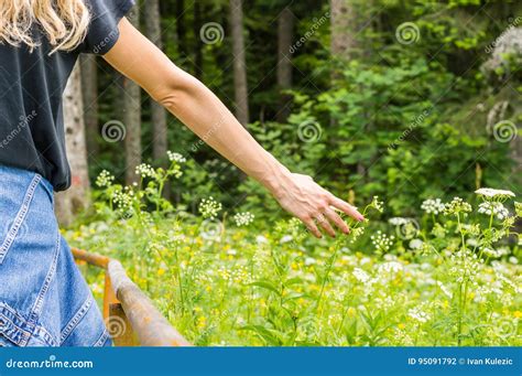 Girl picking flowers stock photo. Image of light, blossom - 95091792