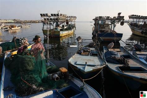 PHOTOS: Gaza Fishermen Back to the Sea - Palestine Chronicle