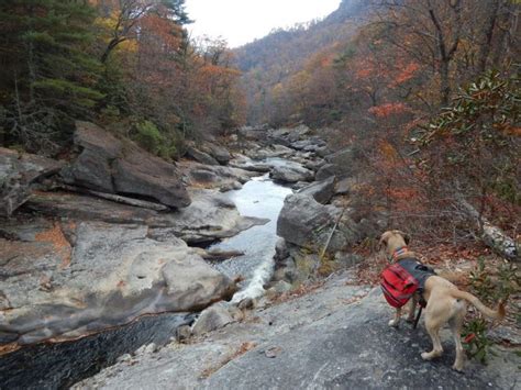 The Linville Gorge Loop - The Trek | Linville gorge, Grand canyon of the east, Gorges