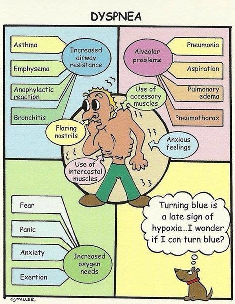 Dyspnea causes | Nursing school survival, Medical surgical nursing, Med surg nursing