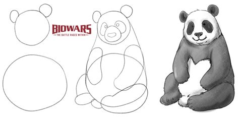 Easy Panda Drawing Guide In 5 Steps [Video + Illustrations]