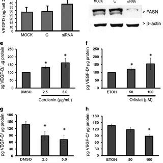 Effects of fatty acid synthase (FASN) inhibitors on vascular ...