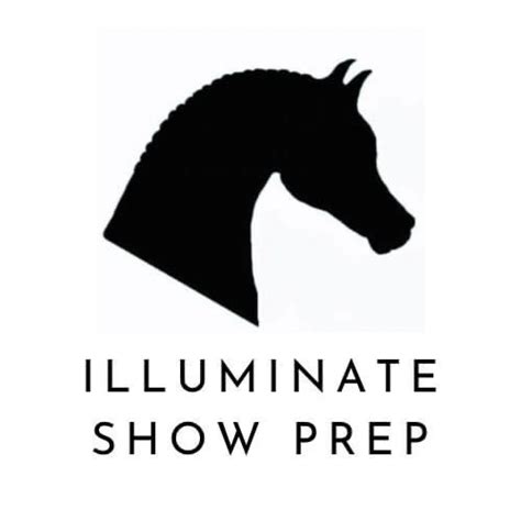 Full Body Clip by Illuminate Show Prep | AirAuctioneer