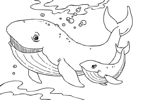 Free Printable Whale Coloring Pages For Kids