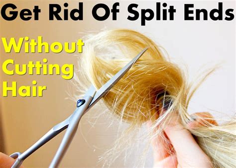 Home Remedies For Split Ends - Without Cutting Hair Shaft - Home Remedies Blog