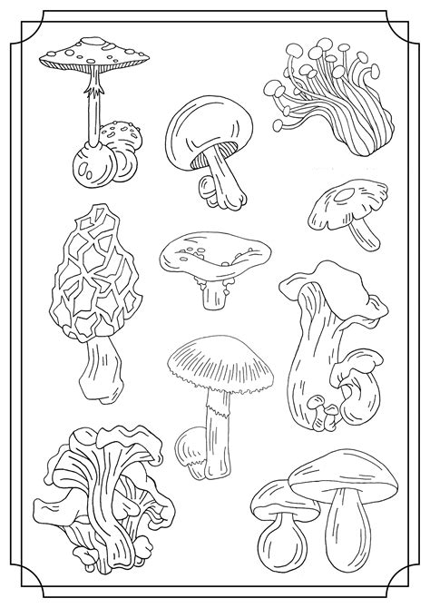 Mushrooms (single) - Mushroom Coloring Pages for Kids