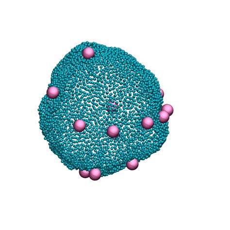 Biological membranes — Šarić Lab