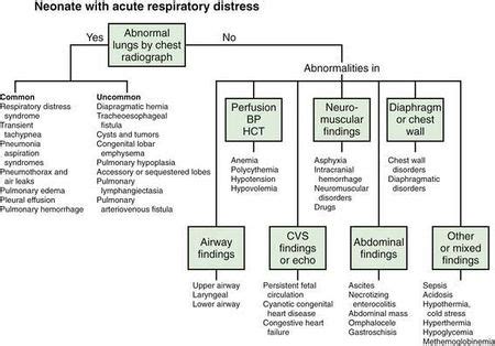 Neonatal Respiratory Distress Syndrome - Physiopedia