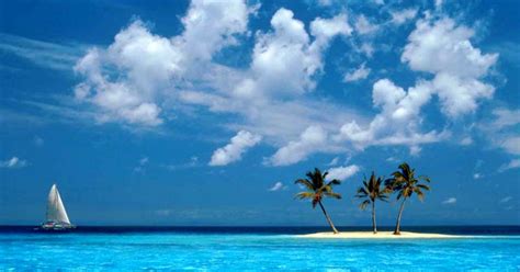 Windows Xp Beach Wallpaper | Zoom Wallpapers