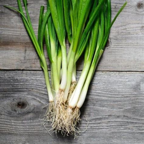 Harvesting Green Onions - How & When to Pick Green Onions - Together ...