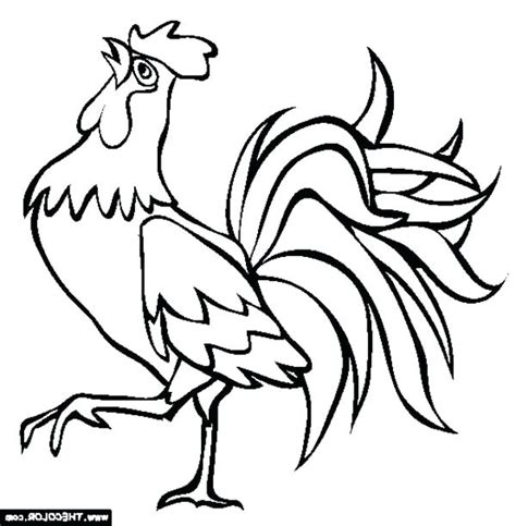 Simple Rooster Drawing | Free download on ClipArtMag