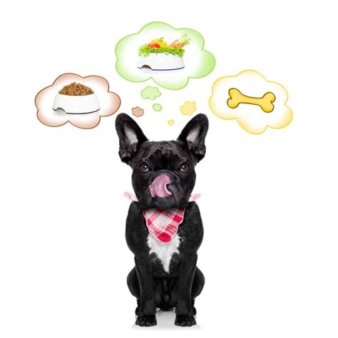 Merrick Dog Food Reviews ? Puppy Food Recalls 2024 ? GoodPuppyFood